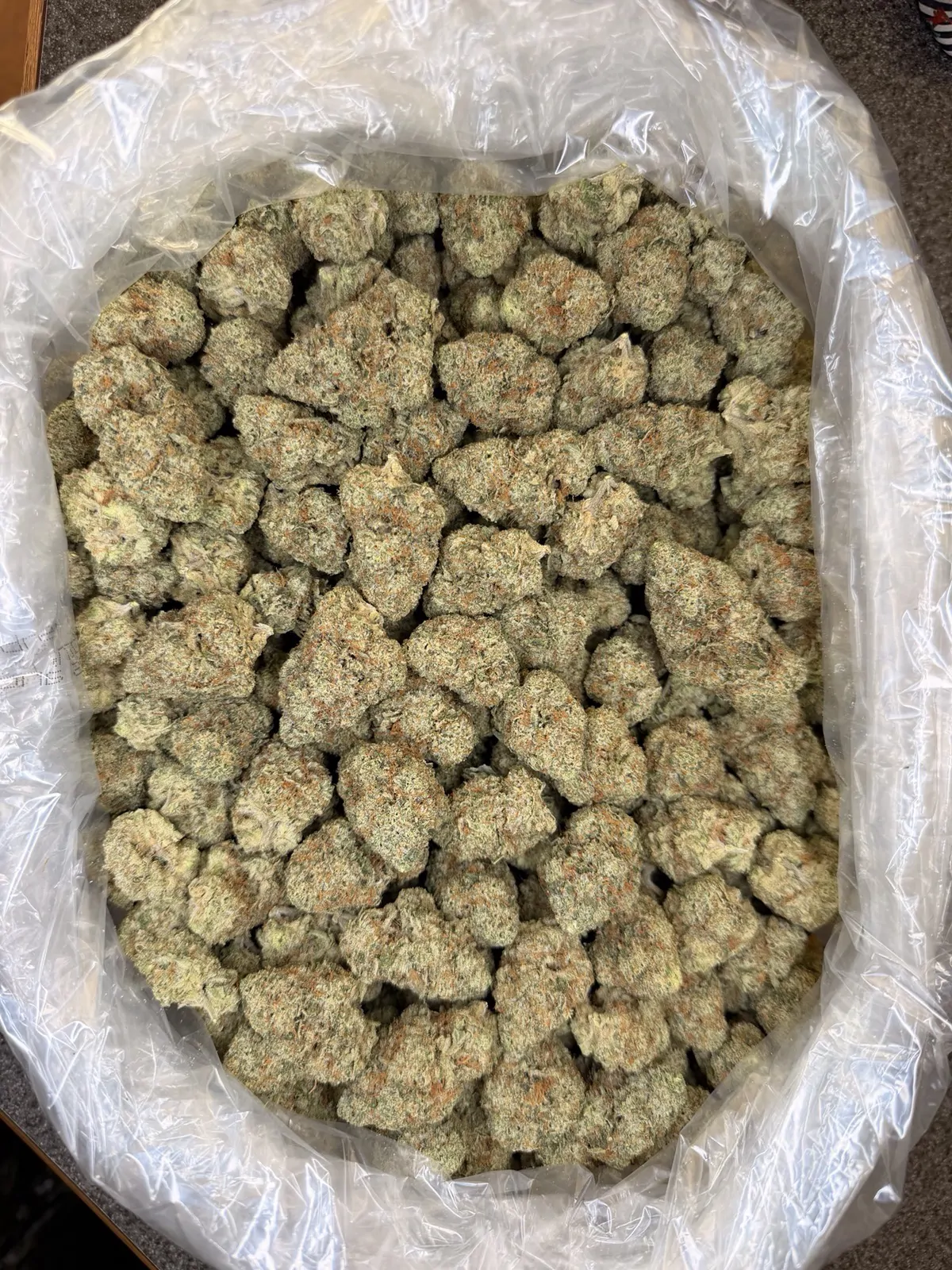 Juicee J Flower